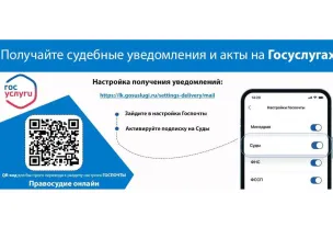 О возможности реализации своих процессуальных прав